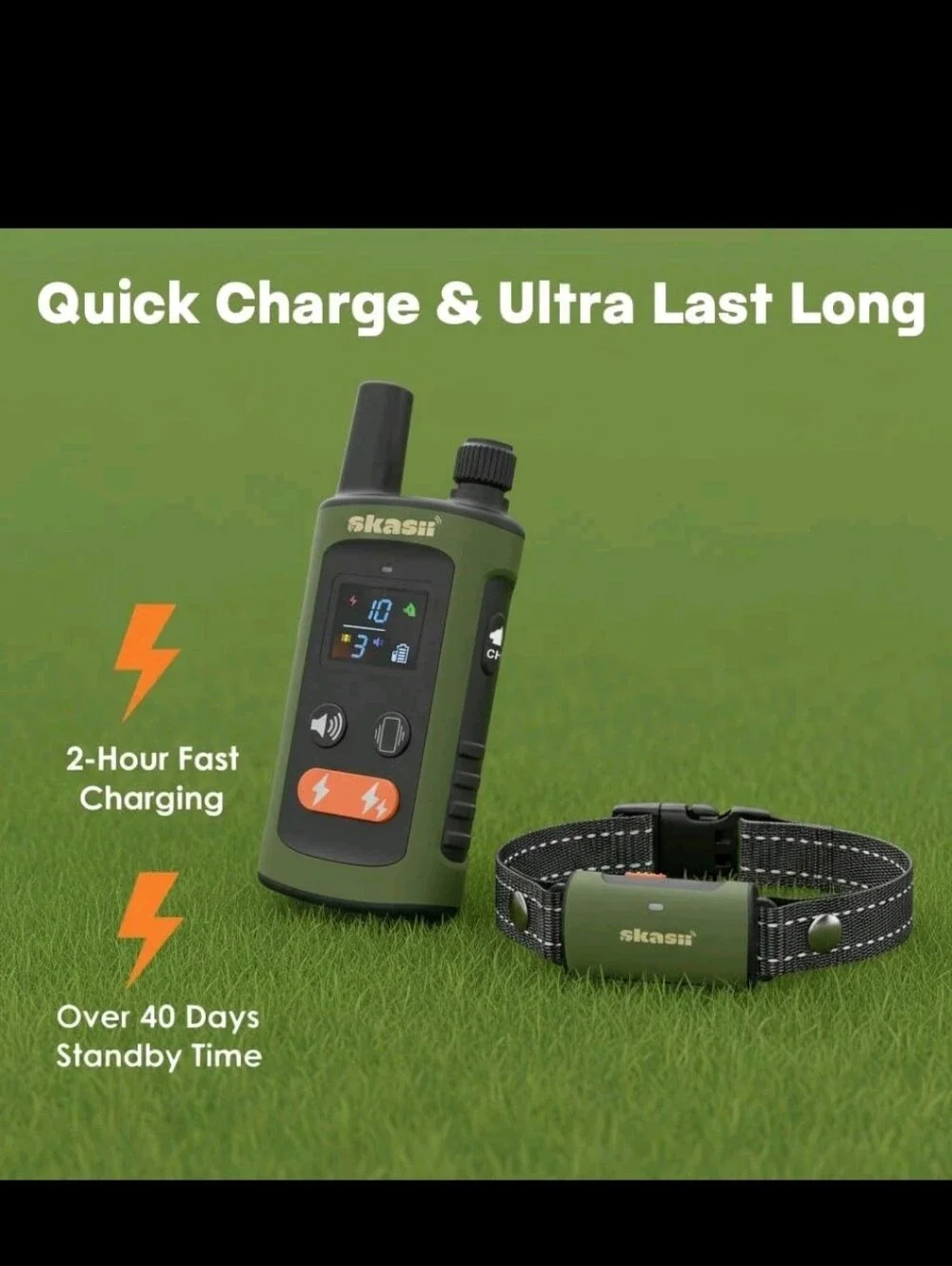 N/A dog training